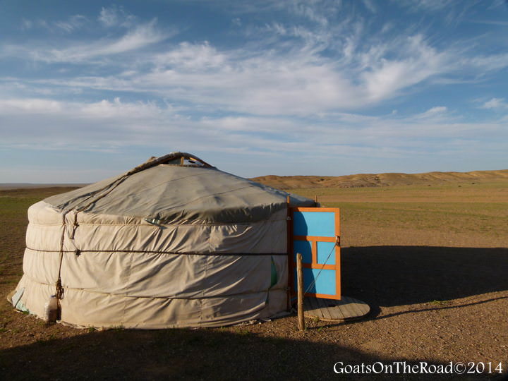 ger in gobi desert accommodation options