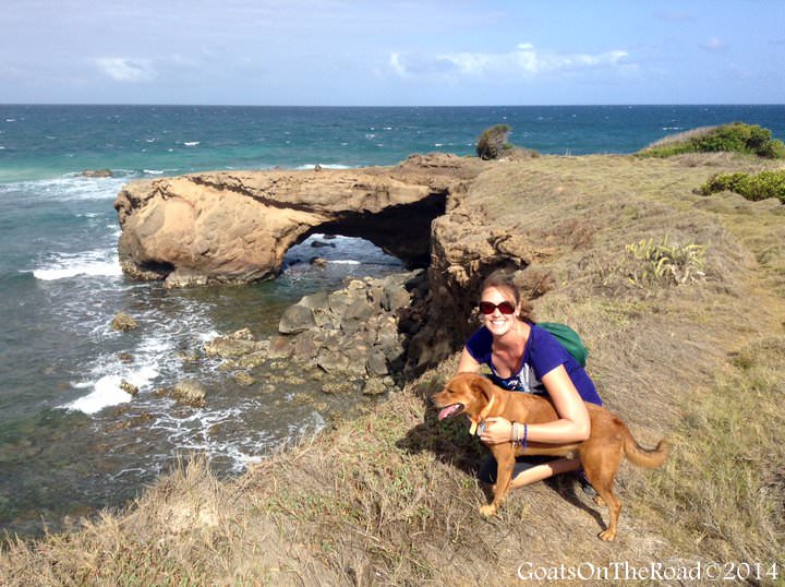 pet sitting in grenada