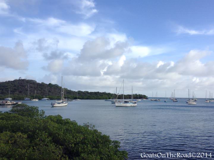 hog island grenada