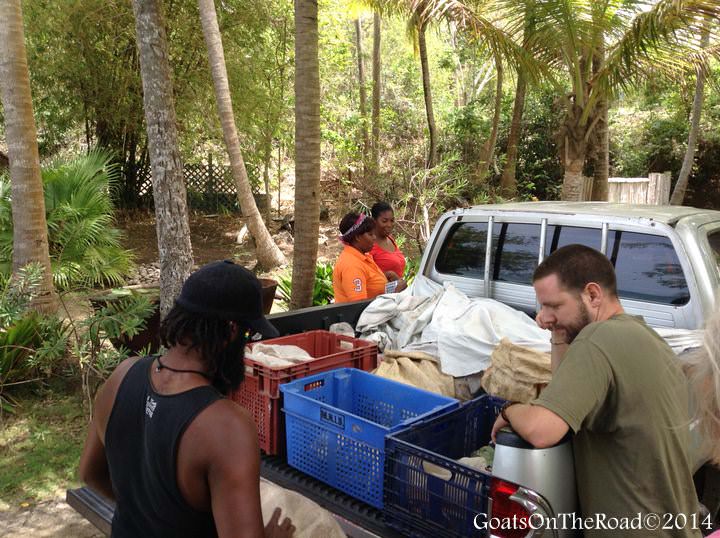 buying fruit in grenada