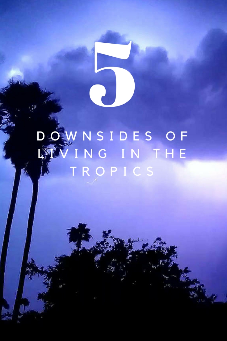 5 Downsides of Living in the Tropics