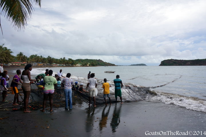 living in grenada fishing