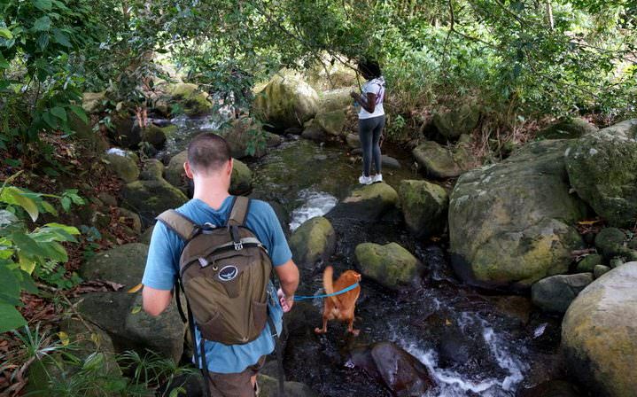 travel to grenada hashing