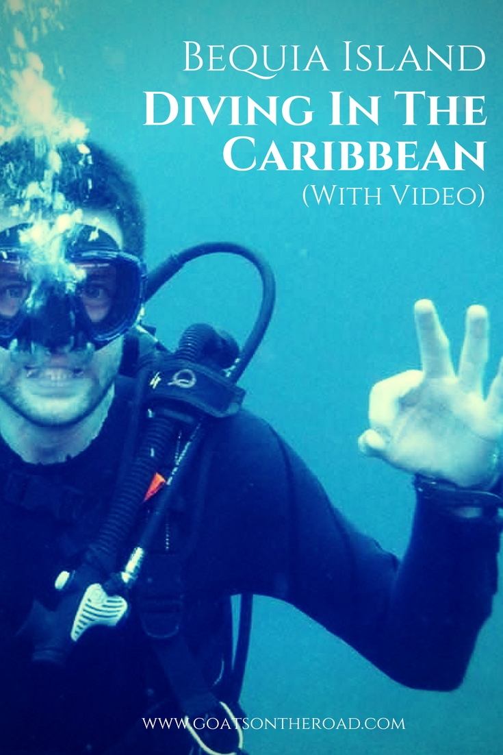 Diving In The Caribbean On Bequia Island (With Video)