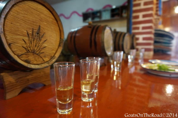tequila valladolid