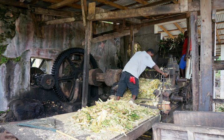 visit a rum distillery in the north of grenada