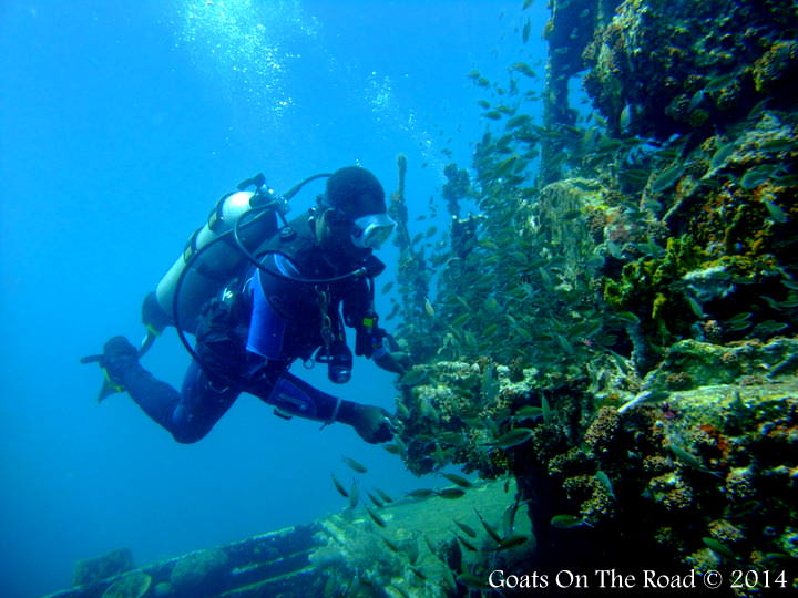 Cojack Checking Out Some Fish On Veronica. L