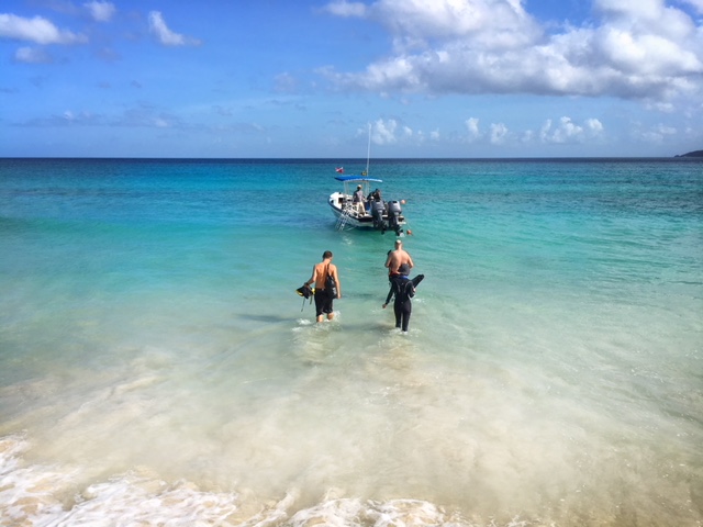 scuba diving in grenada is one of the best things to do