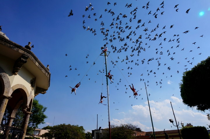 danza de los voladores in guadalajara
