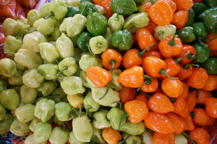 habanero peppers mexico