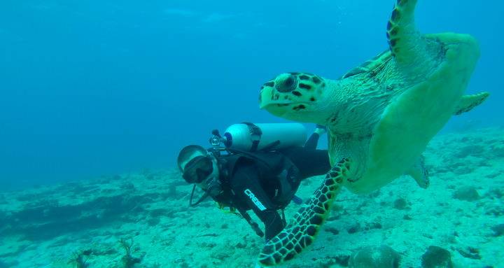 scuba diving in mexico