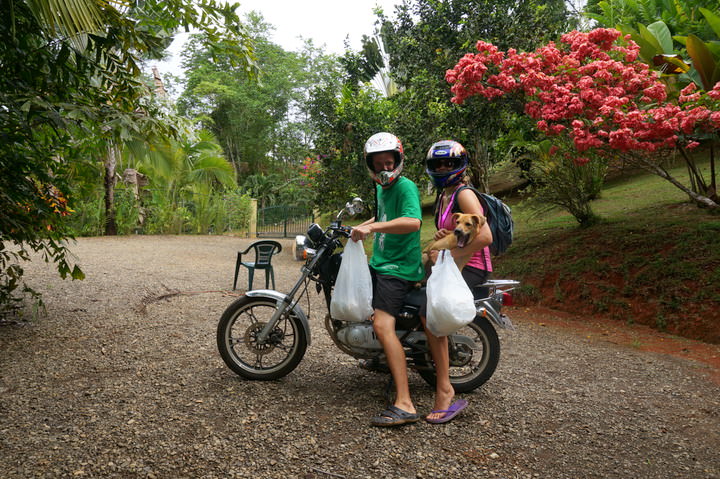 pet sitting in costa rica