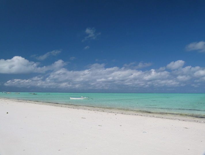 paje beach zanzibar