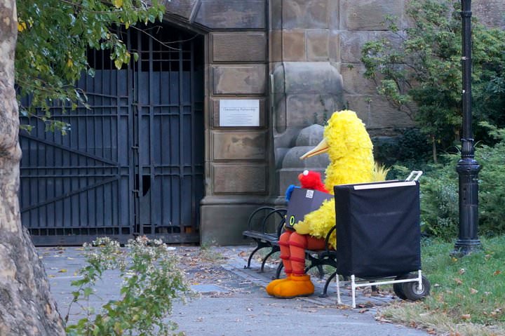 Big Bird Chillin' In Central Park