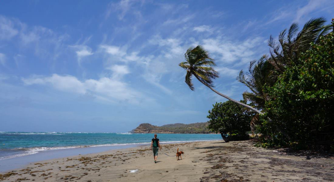 5 Months of Living in the Caribbean - Grenada in Photos