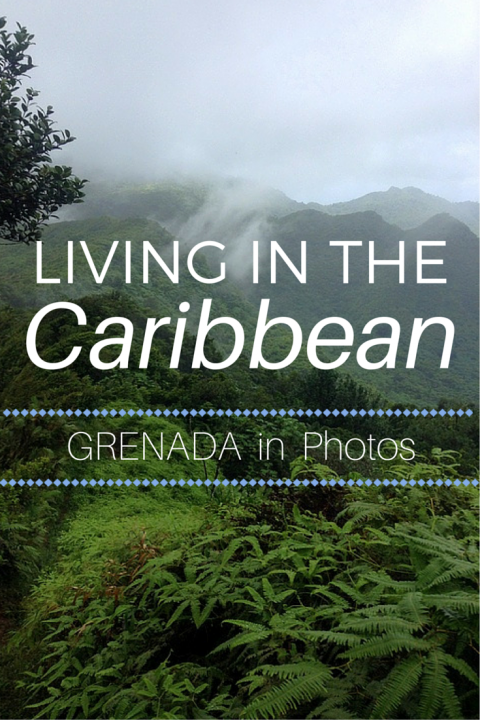 5 Months of Living in the Caribbean – Grenada in Photos