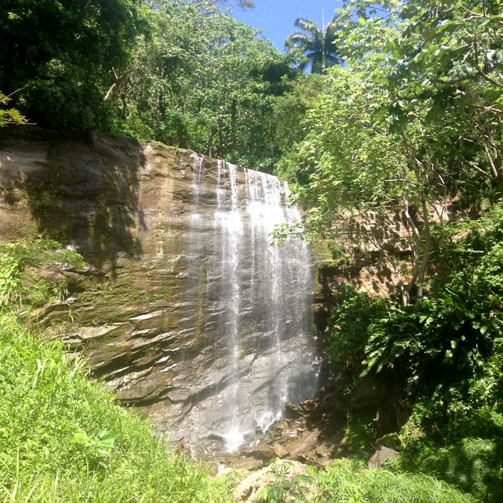 mt. carmel falls grenada