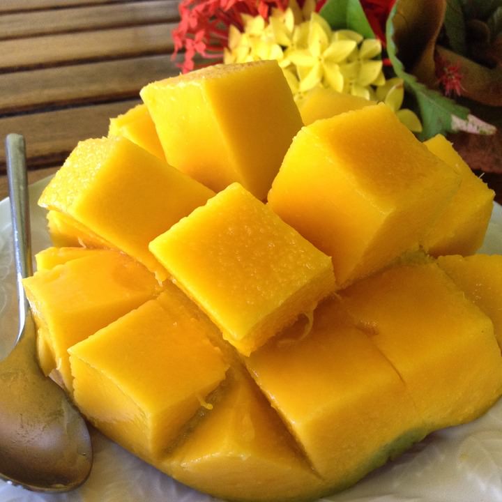 mangos in grenada
