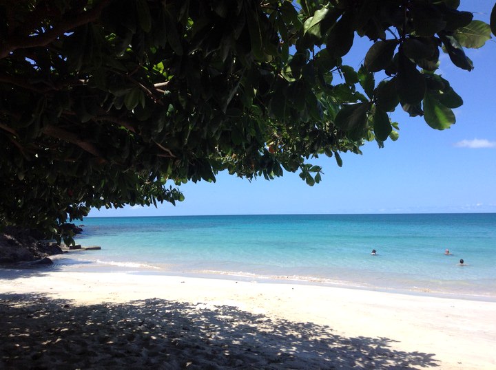 grand anse beach grenada