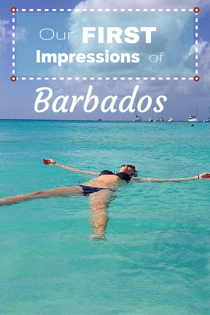 Our First Impressions Of Barbados - Goats On The Road