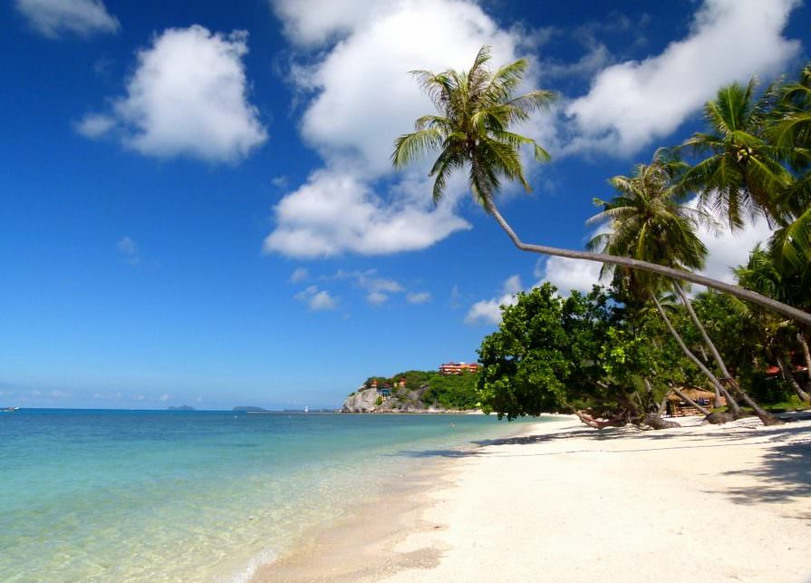 koh phangan is one of the best places to visit in thailand love the palm trees