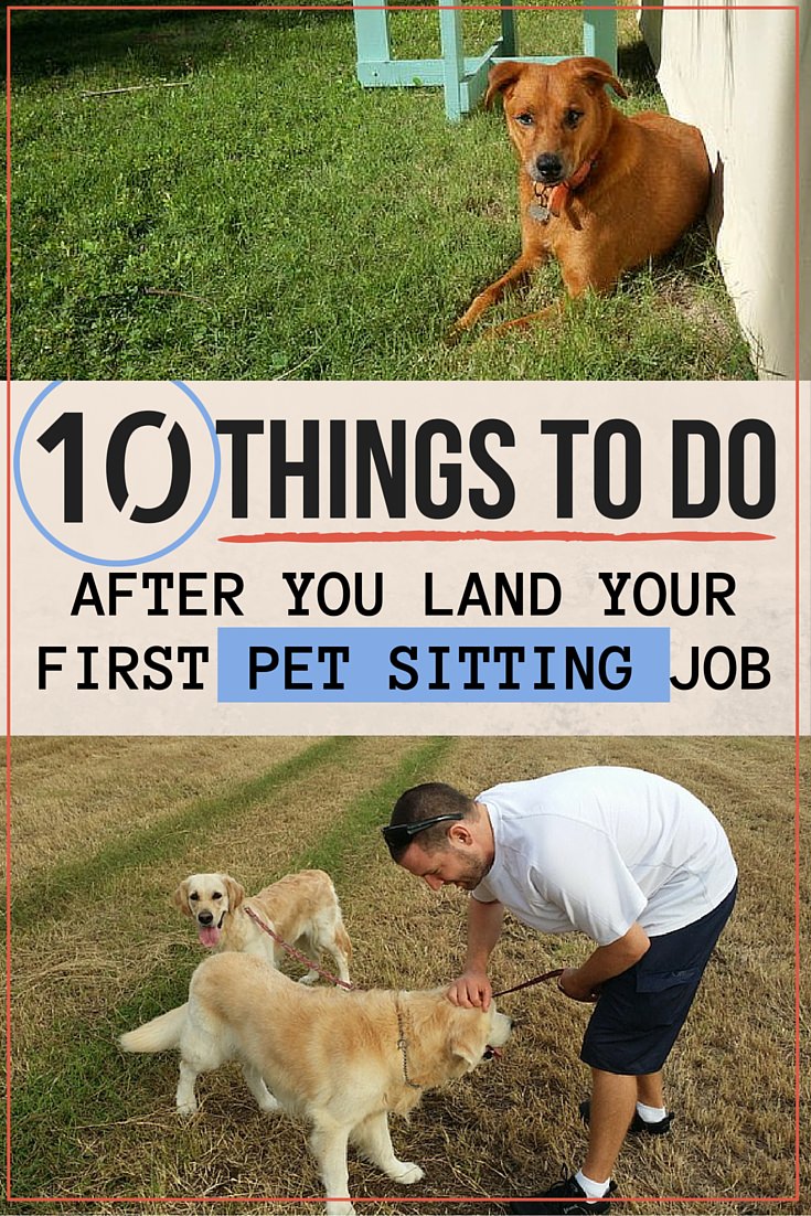 10 Things To Do After You Land Your First Pet Sitting Job