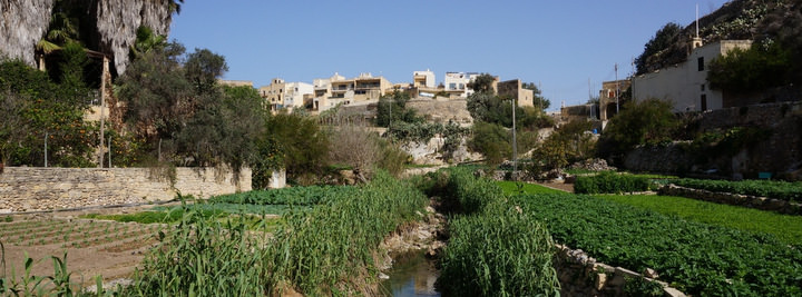 Green Trees Gozo Travel Malta