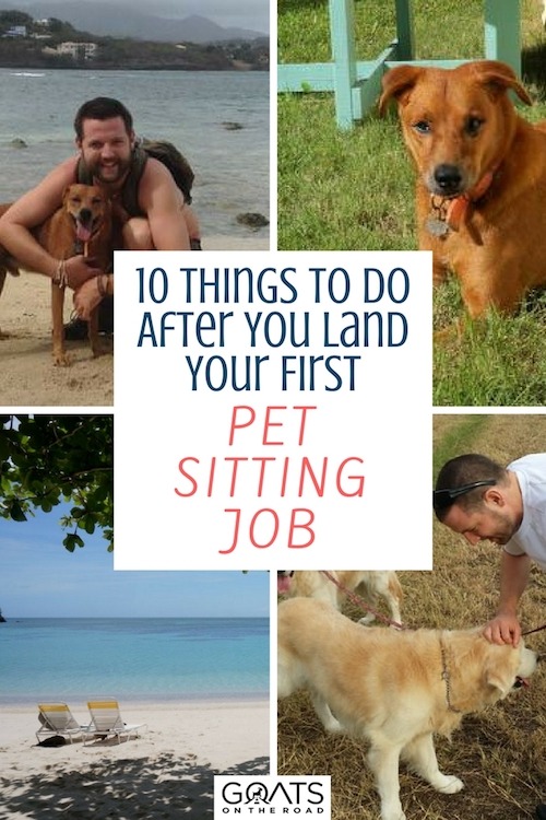 Photographs of pets with text overlay 10 Tihings To Do After You Land Your First Pet Sitting Job