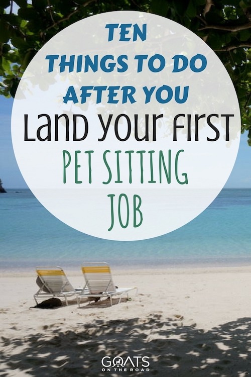 Beach setting with text overlay Ten Things To Do After You Land Your First Pet Sitting Job