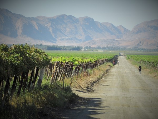 where to stay in namibia near a vineyard
