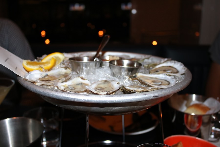 oysters