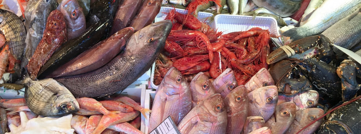 travel to malta fish monger