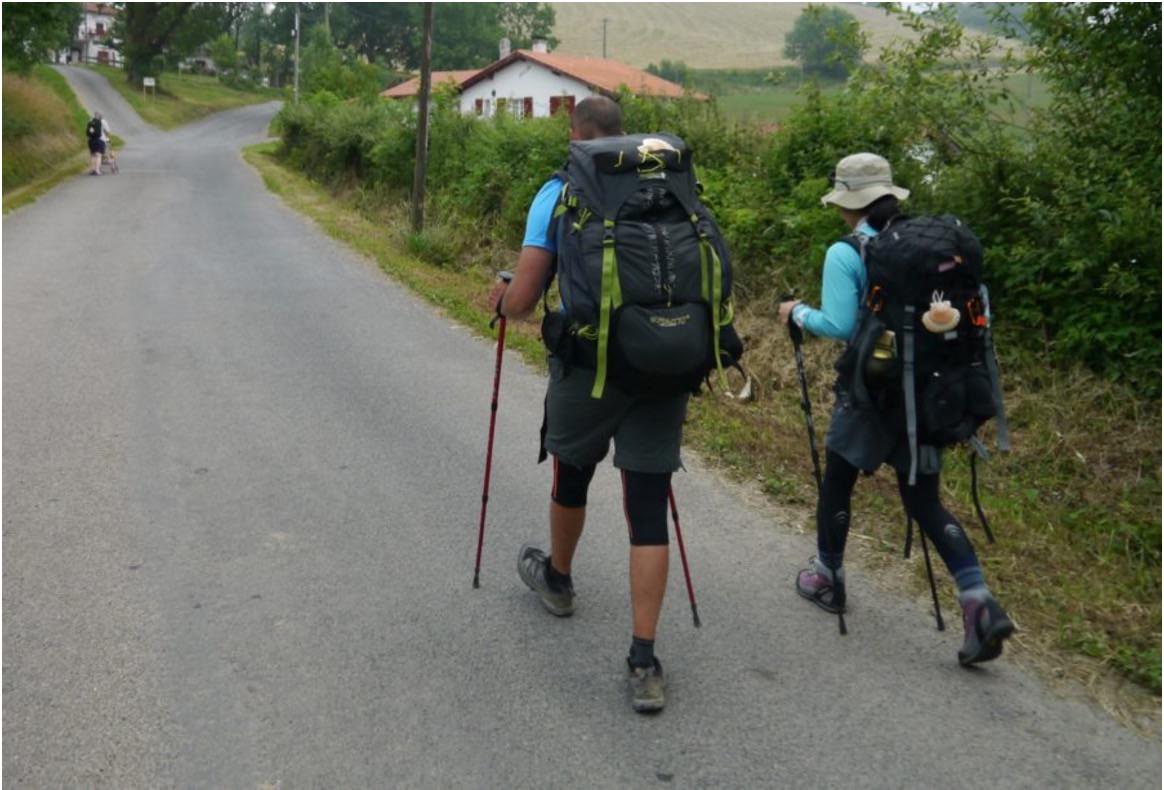 how to hike the french camino trail