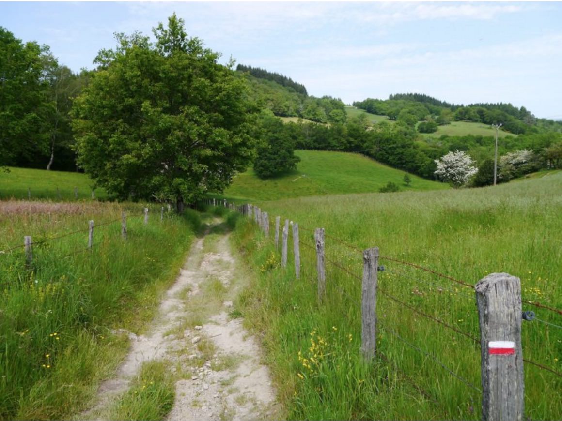 scenery along the french camino trail hike