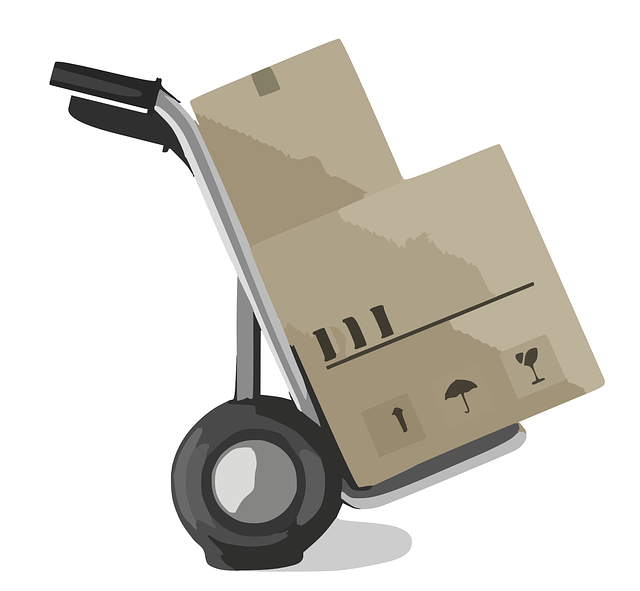 quit job travel moving boxes