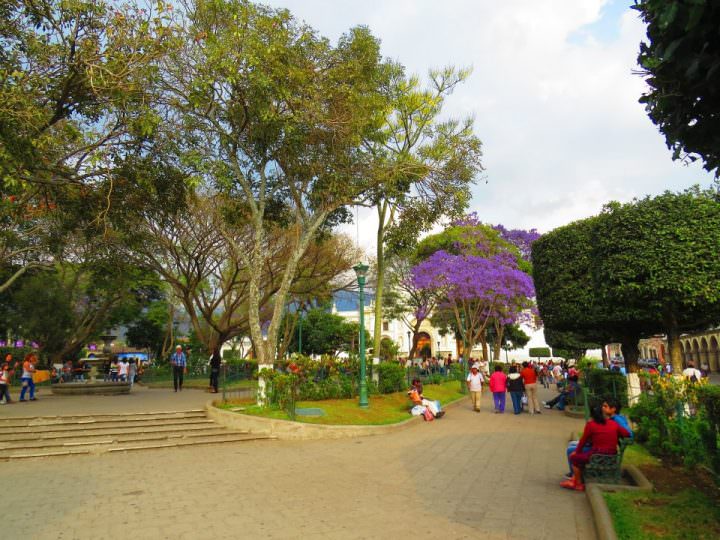 park