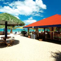 the best beach in grenada grand anse stay at mount cinnamon 