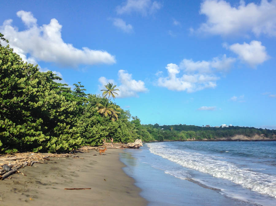 best beaches in grenada petit bacolet bay