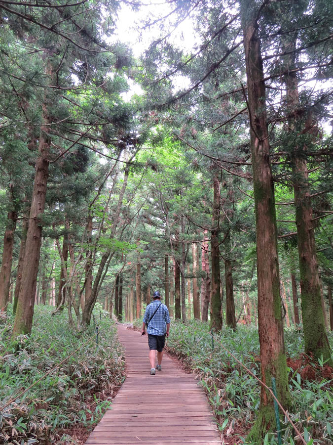 hallasan hiking in south korea