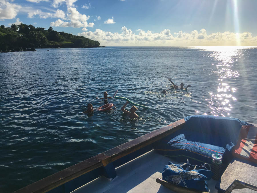 sailing in grenada with savvy