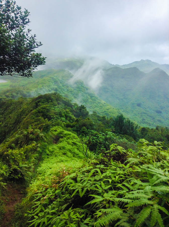 travel to grenada hiking mt qua qua