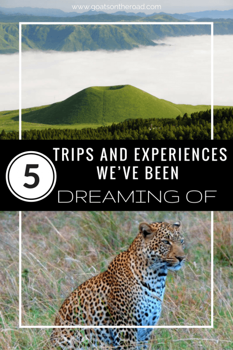 5-trips-and-experiences-weve-been-dreaming-of