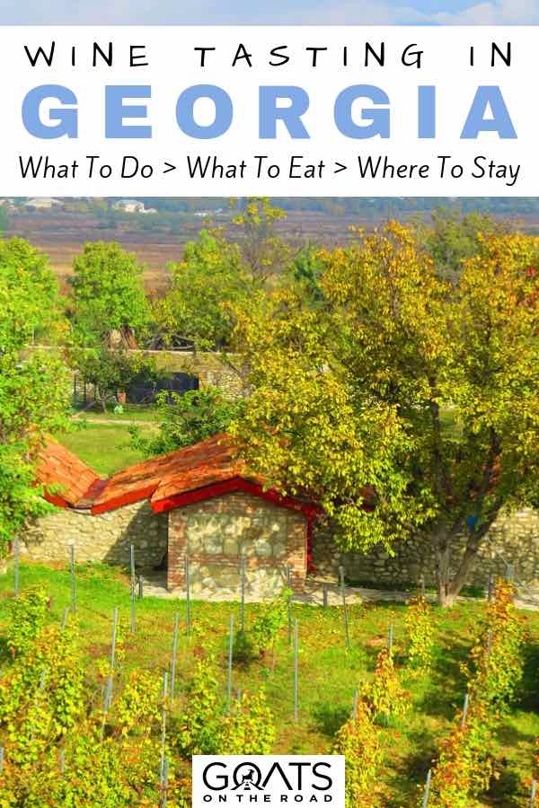 Winery with text overlay Wine Tasting In Georgia
