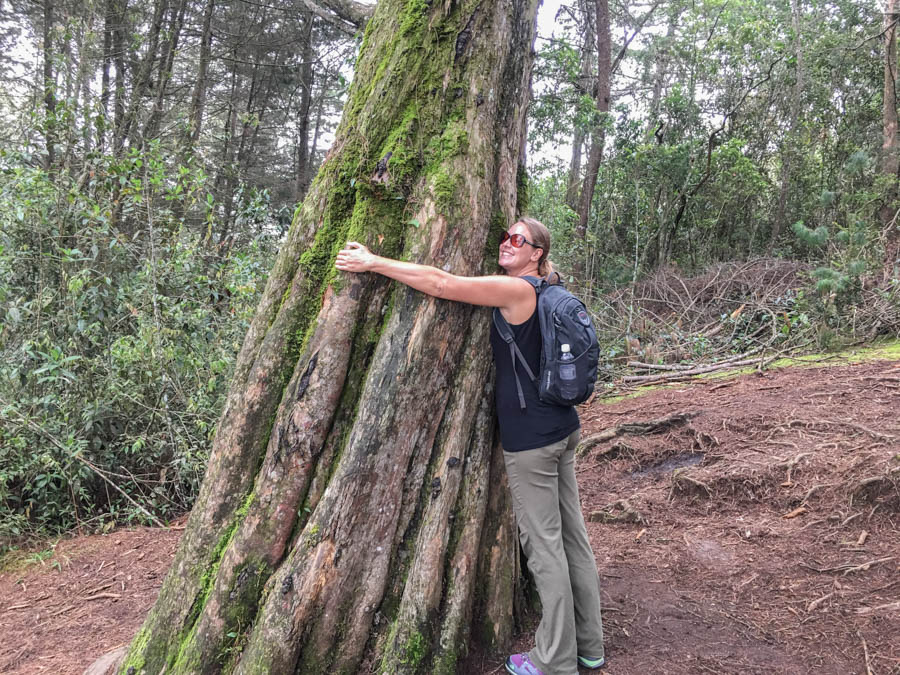 hiking in parque arvi outside of medellin when backpacking colombia 