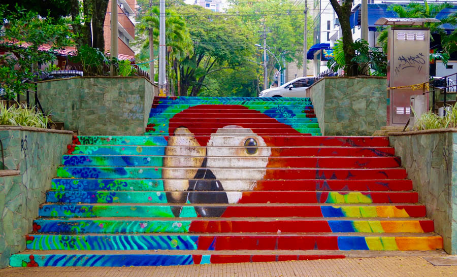 travel to medellin el poblado area paintings