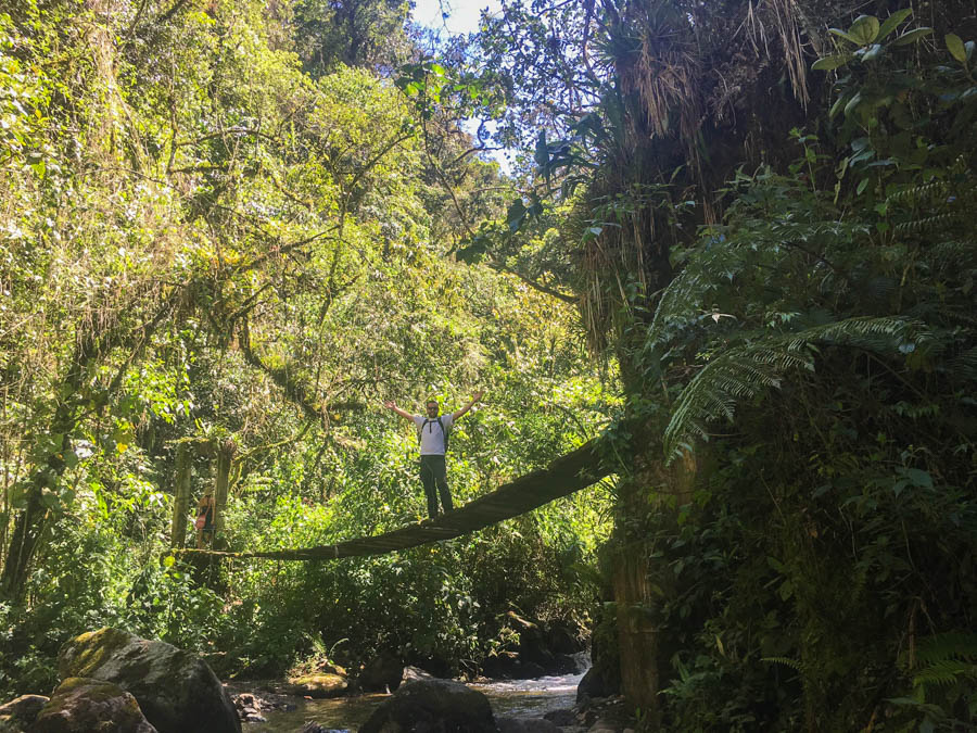 travel to salento colombia hiking the valle de cocora