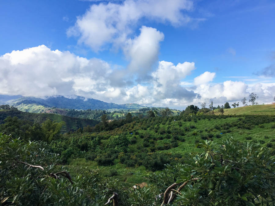 travel to salento colombia stay at la serrana