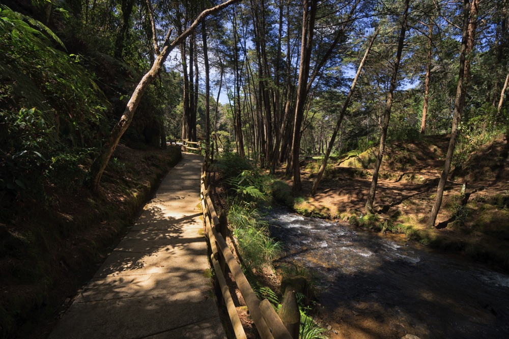 hiking in parque arvi medellin