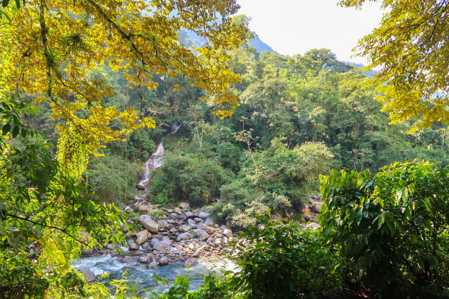 hiking the ciudad perdida river swim