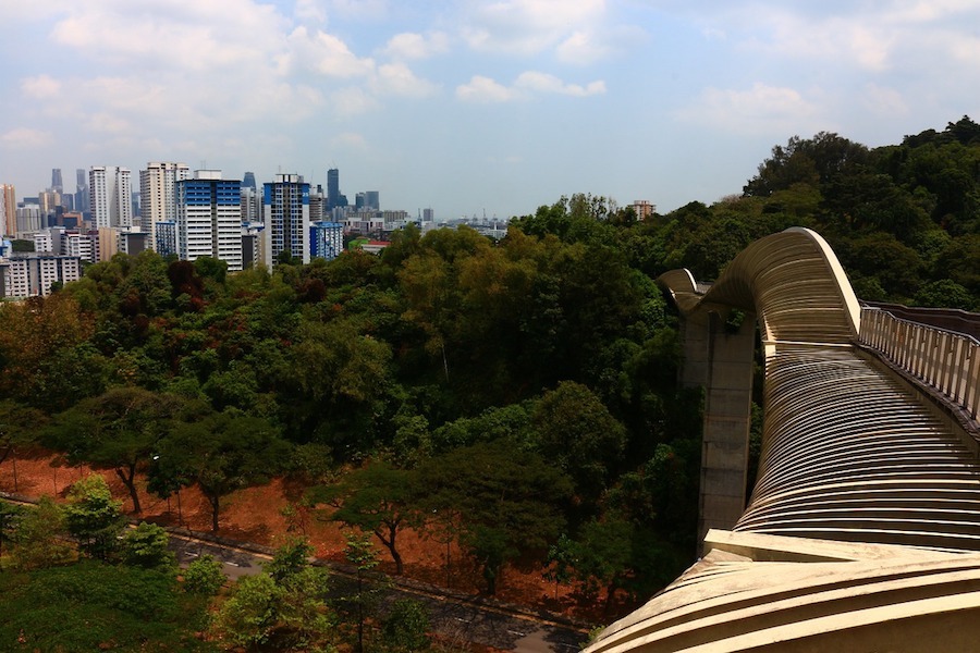 singapore wave bridge